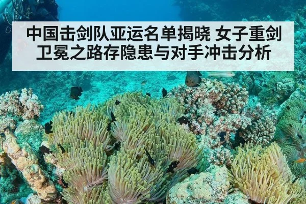 中国击剑队亚运名单揭晓 女子重剑卫冕之路存隐患与对手冲击分析